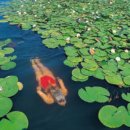 باري ميمل دايركتلي آت ذا ليك فندق 4*