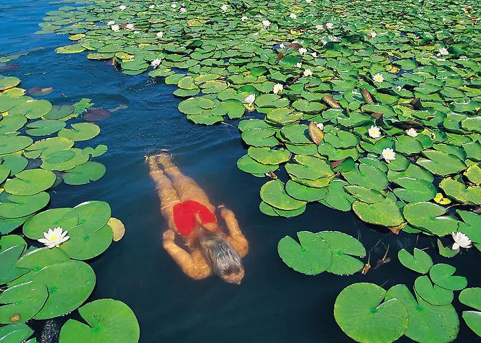 Barry Memle Directly At The Ξενοδοχείο 4*