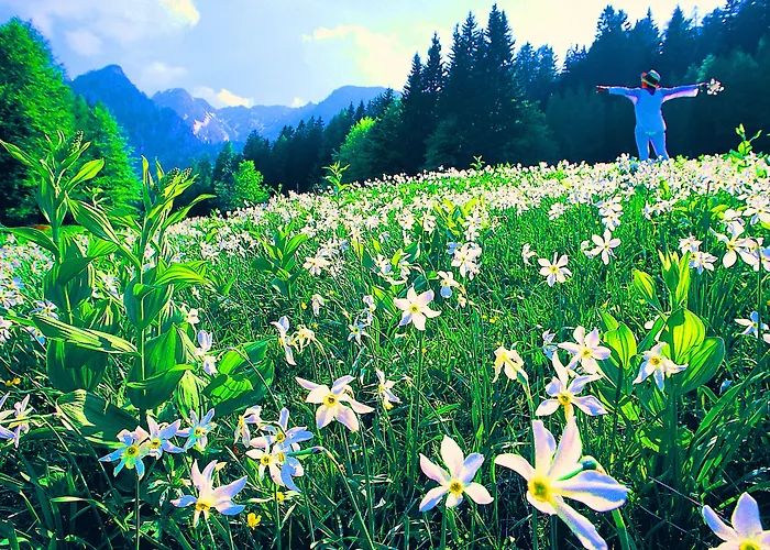 Barry Memle Directly At The מלון 4*
